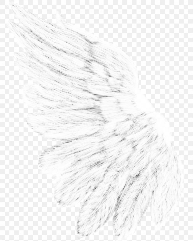 Drawing Monochrome Photography Line Art White, PNG, 1280x1600px, Drawing, Black And White, Brush, Feather, Line Art Download Free
