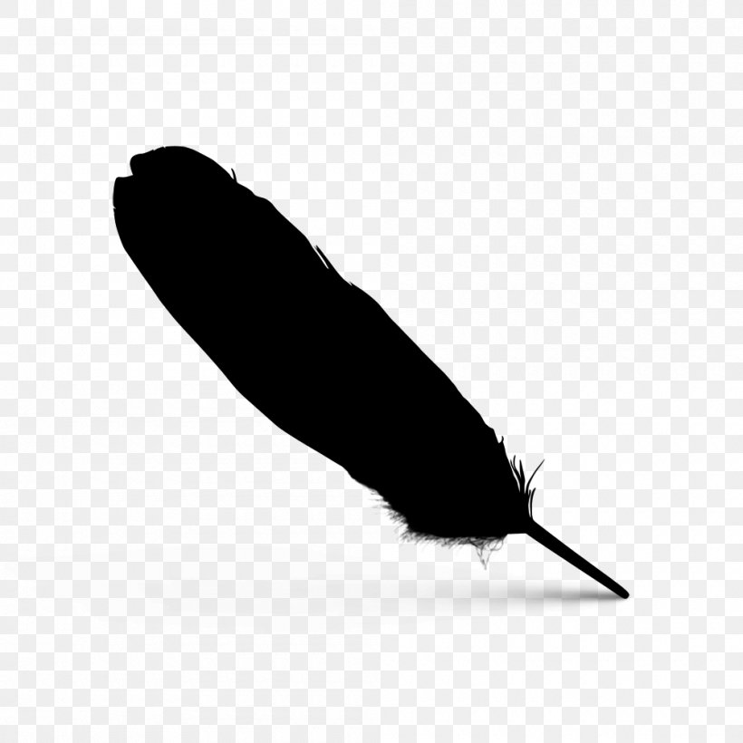 Feather Font Line Beak Black M, PNG, 1000x1000px, Feather, Beak, Black, Black M, Blackandwhite Download Free