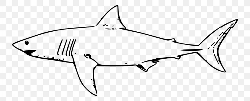 Great White Shark Drawing Fish Lamniformes Clip Art, PNG, 1024x415px, Great White Shark, Animal, Artwork, Black And White, Carcharodon Download Free