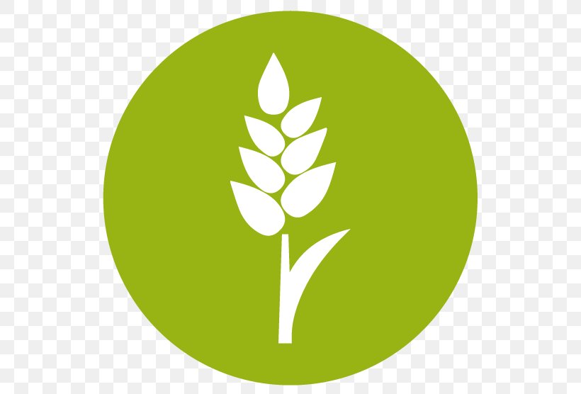 Green Leaf Logo, PNG, 556x556px, Sims 4, Agriculture, Color, Computer Software, Grass Download Free