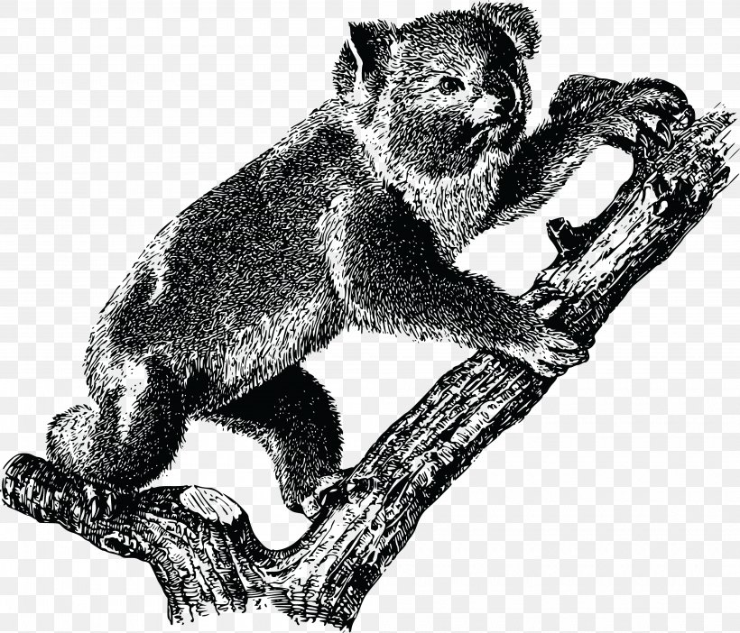 Koala Australia Rod Campbell's Aussie Animals Clip Art, PNG, 4000x3428px, Koala, Arboreal, Australia, Bear, Black And White Download Free