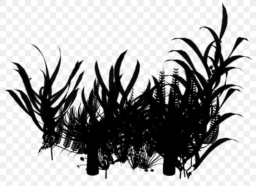 Silhouette Arecales Grasses Branching, PNG, 1024x745px, Silhouette, Arecales, Blackandwhite, Branching, Feather Download Free