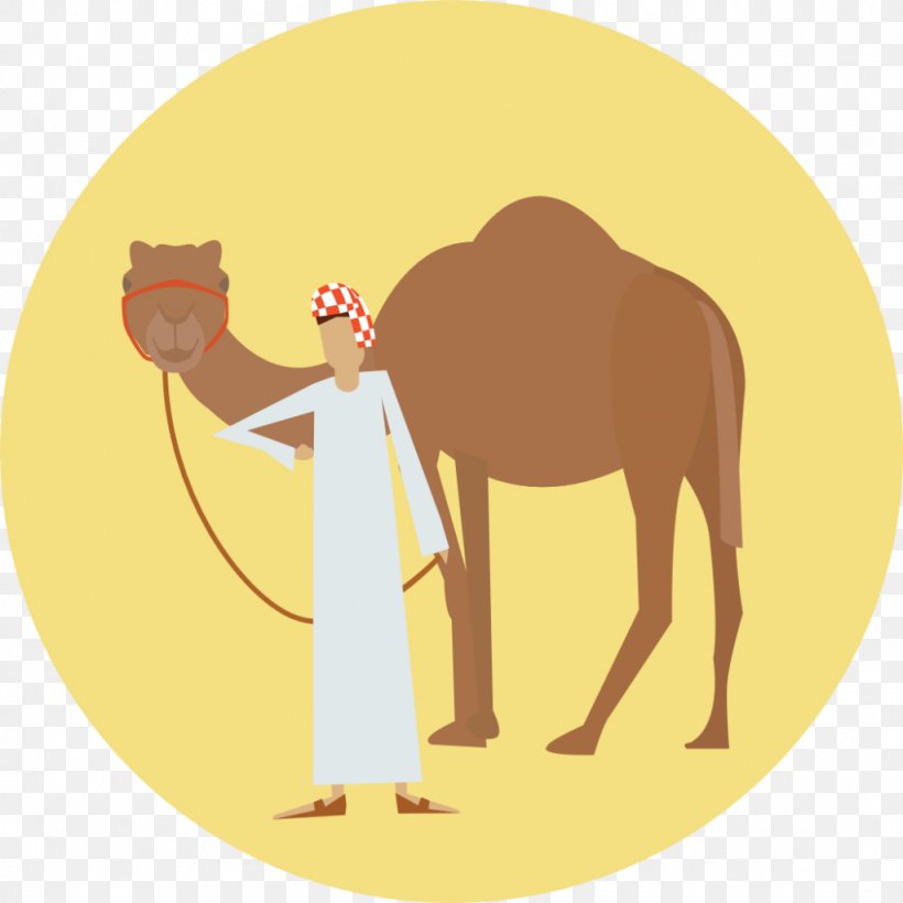 Dromedary Horse Dog Animal, PNG, 1024x1024px, Dromedary, Animal, Arabian Camel, Camel, Camel Like Mammal Download Free