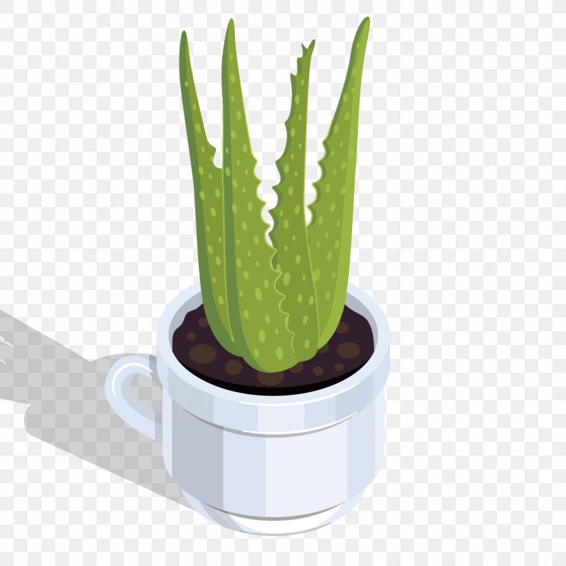Aloe Vera Euclidean Vector, PNG, 1500x1500px, Aloe Vera, Aloe, Cactus, Flowering Plant, Flowerpot Download Free
