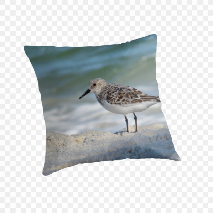 Cushion Beak Throw Pillows Fauna, PNG, 875x875px, Cushion, Beak, Bird, Fauna, Pillow Download Free