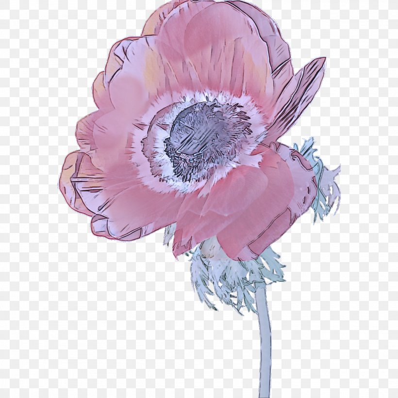 Pink Flower Cut Flowers Plant Petal, PNG, 2289x2289px, Pink, Anemone, Cut Flowers, Fashion Accessory, Flower Download Free