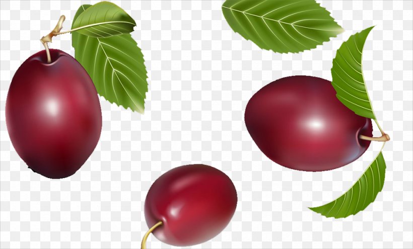 Prunus Salicina Plum Cranberry U674eu5b50, PNG, 1000x604px, Prunus Salicina, Apple, Auglis, Berry, Camu Camu Download Free