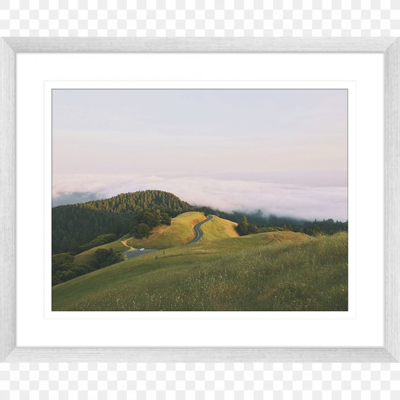 Quadcopter Radio Control Unmanned Aerial Vehicle Camera Painting, PNG, 1000x1000px, Quadcopter, Camera, Ecoregion, Grass, Grassland Download Free