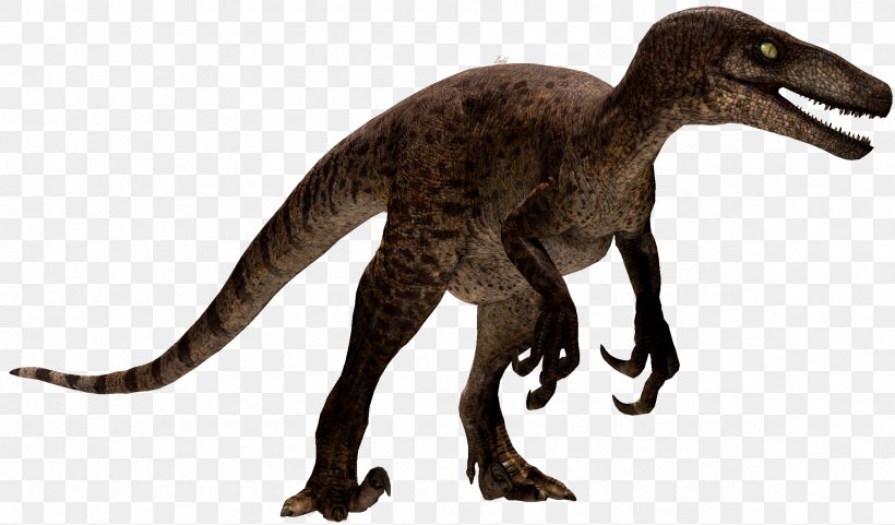 Velociraptor Tyrannosaurus Utahraptor Spinosaurus Dilophosaurus, PNG, 2359x1385px, Velociraptor, Animal Figure, Dilophosaurus, Dinosaur, Extinction Download Free