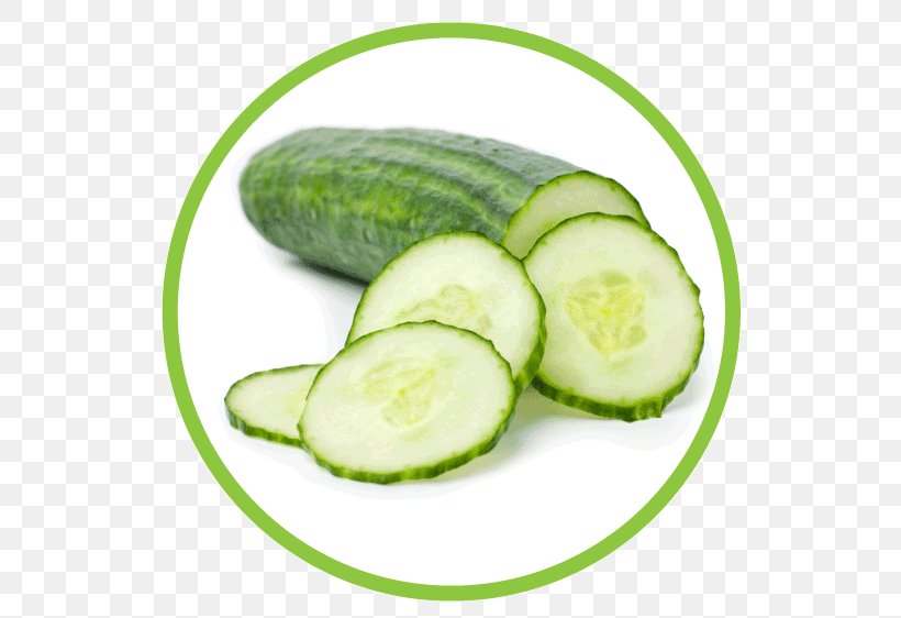 Cucumber Fruit Vegetable Zucchini, PNG, 562x562px, Cucumber, Cucumber Gourd And Melon Family, Cucumis, Eating, Food Download Free