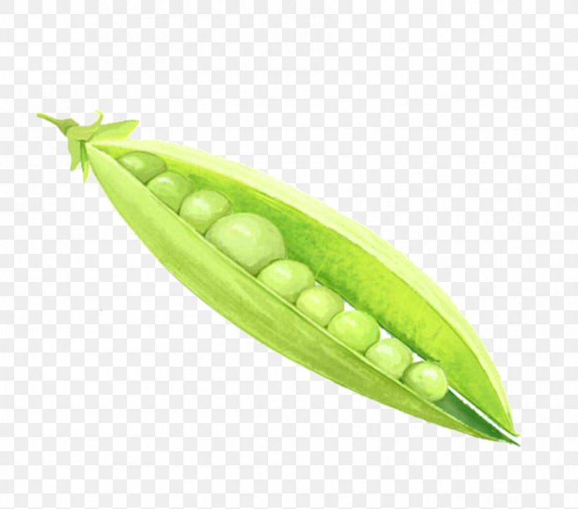 Pea Legume Vegetable Food, PNG, 891x785px, Pea, Bean, Corn On The Cob, Food, Fruit Download Free