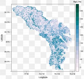 Tree - Water Resources Tree Map Point PNG