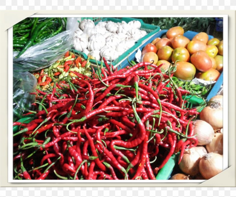 Bird's Eye Chili Capsicum Annuum Var. Acuminatum Chili Pepper Bumbu Food, PNG, 960x800px, Bird S Eye Chili, Bell Peppers And Chili Peppers, Bumbu, Capsicum, Capsicum Annuum Download Free