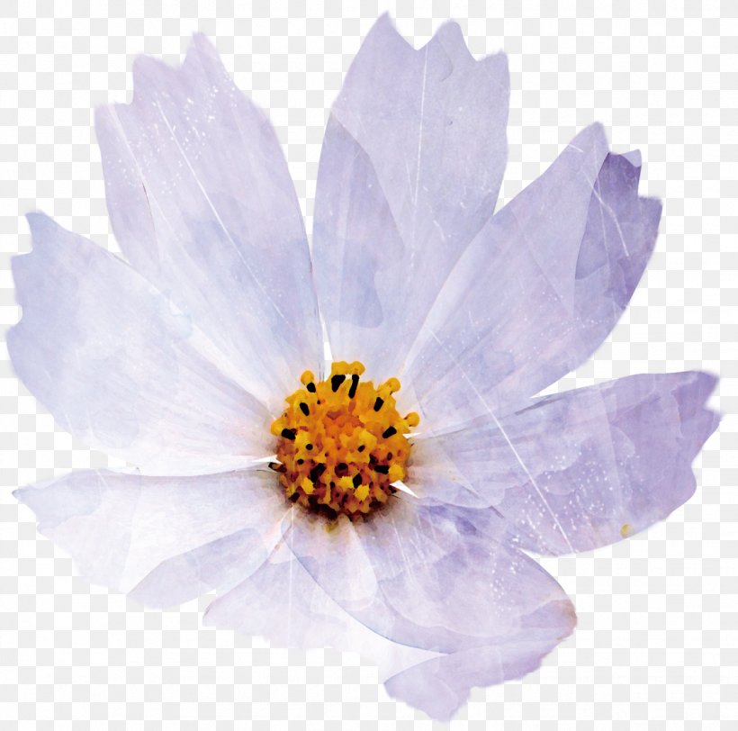 Chrysanthemum Indicum Petal Flower, PNG, 1122x1112px, Chrysanthemum Indicum, Chrysanthemum, Daisy Family, Flower, Flowering Plant Download Free