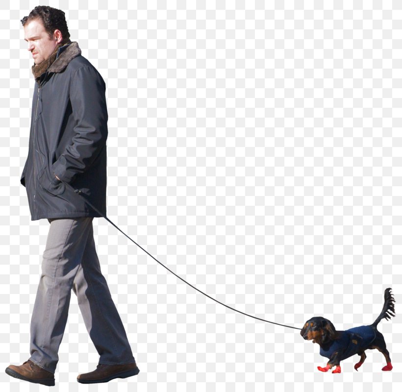 Dog Breed Obedience Training Leash Dog Walking, PNG, 800x800px, Dog Breed, Behavior, Breed, Dog, Dog Like Mammal Download Free
