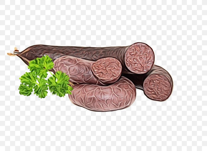 Dog Food, PNG, 800x600px, Mettwurst, Andouille, Blood Sausage, Bologna Sausage, Bratwurst Download Free