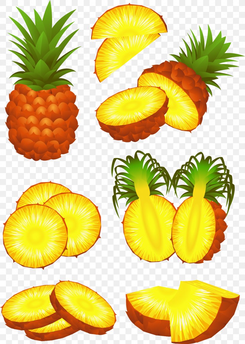 Pineapple Fruit Slice Stock Photography, PNG, 1177x1655px, Pineapple, Ananas, Bromeliaceae, Diet Food, Drawing Download Free