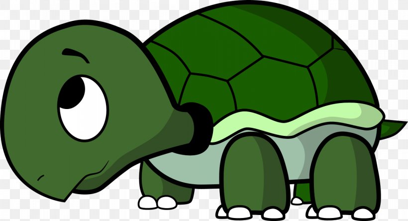 Turtle Cartoon Drawing Clip Art, PNG, 1366x740px, Turtle, Box Turtle, Cartoon, Drawing, Fauna Download Free