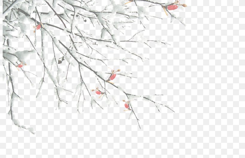 Twig Branch Tree Winter, PNG, 801x531px, Twig, Area, Branch, Frost, Jpeg Xr Download Free