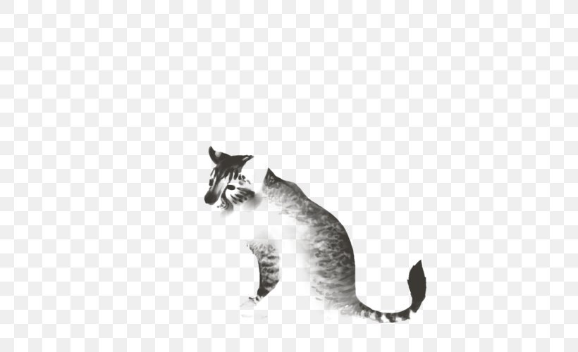 Whiskers Kitten Domestic Short-haired Cat Paw, PNG, 640x500px, Whiskers, Black And White, Carnivoran, Cat, Cat Like Mammal Download Free