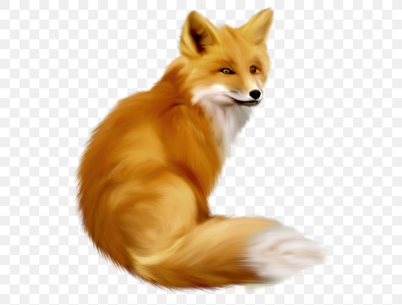 European Fox Clip Art, PNG, 550x622px, Red Fox, Canidae, Carnivoran, Dog Breed, Dog Like Mammal Download Free