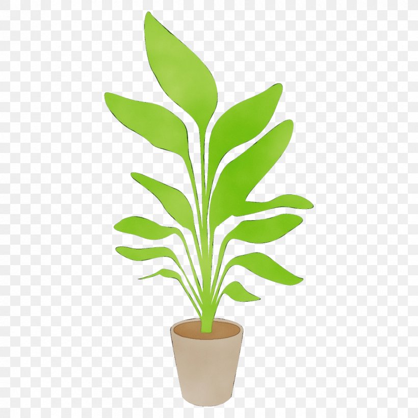 Flowerpot Plant Houseplant Flower Leaf, PNG, 1200x1200px, Watercolor, Flower, Flowering Plant, Flowerpot, Grass Download Free