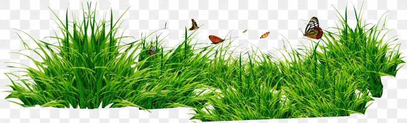 Grasses Clip Art, PNG, 3416x1038px, Rar, Commodity, Document, Flowerpot, Grass Download Free