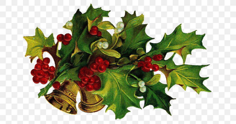 Holly, PNG, 680x431px, Holly, American Holly, Branch, Chinese Hawthorn, Flower Download Free
