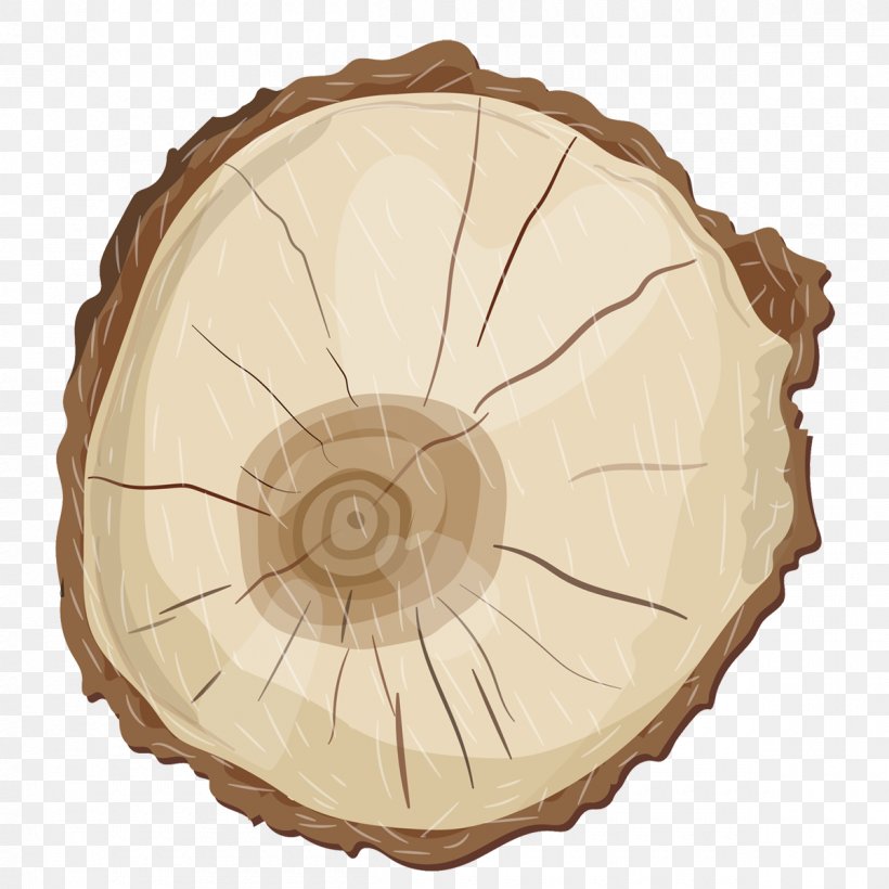 Poplar Tree Rings, PNG, 1200x1200px, Watercolor, Cartoon, Flower, Frame, Heart Download Free