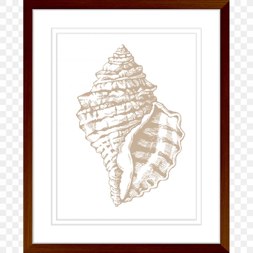 Seashell Art Printmaking Sandestin Craft, PNG, 1000x1000px, Seashell, Art, Conch, Condominium, Craft Download Free