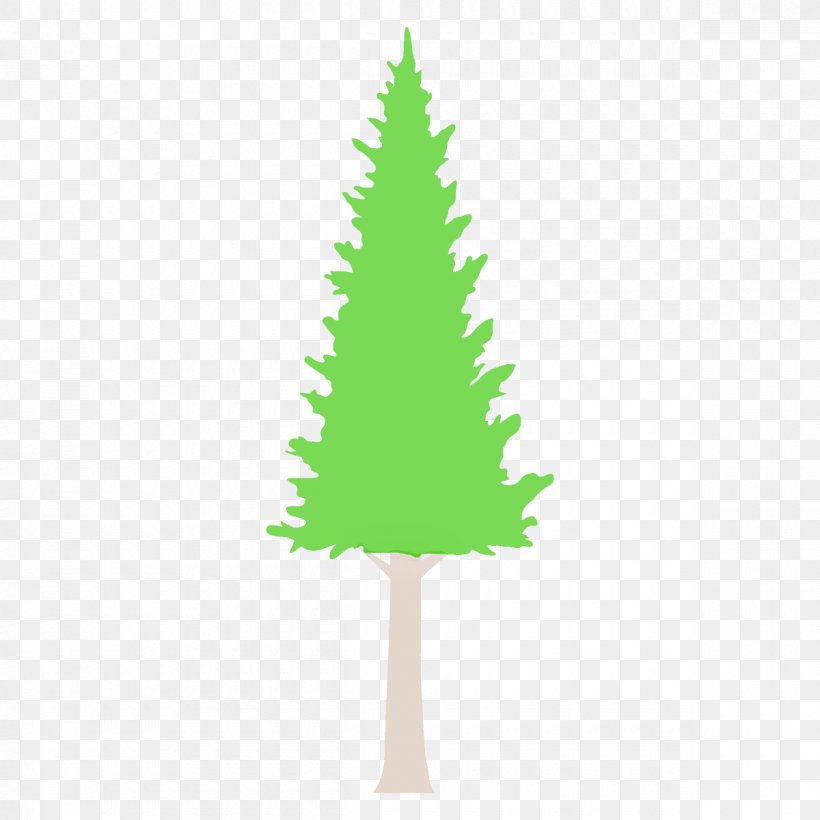 Christmas Tree, PNG, 1200x1200px, Tree, Christmas Decoration, Christmas Tree, Colorado Spruce, Green Download Free