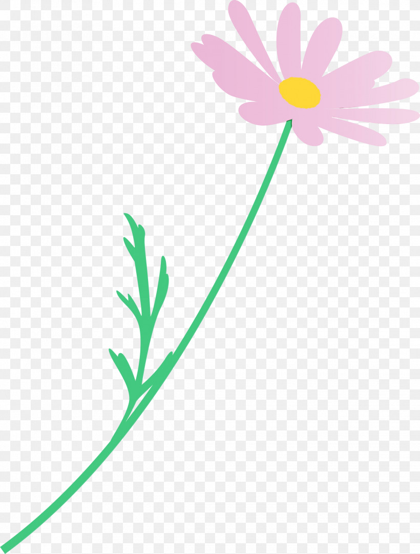 Daisy, PNG, 2275x3000px, Marguerite Flower, Camomile, Chamomile, Daisy, Daisy Family Download Free