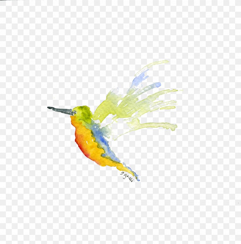 Hummingbird Parrot Beak Feather, PNG, 2140x2170px, Bird, Animal, Beak, Envelope, Fauna Download Free