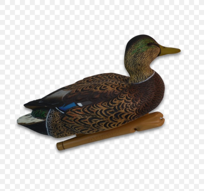 Mallard Duck Waterfowl Hunting Bird, PNG, 768x768px, Mallard, Beak, Bird, Dangate, Decoy Download Free
