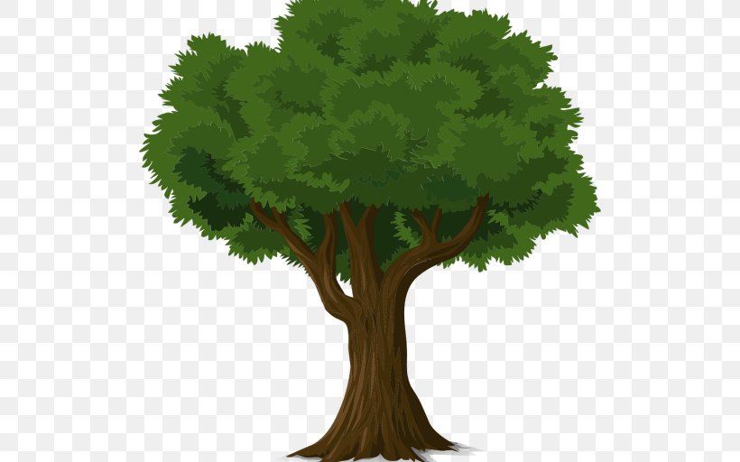 Tree Planting Fruit Tree Shade Tree Energy, PNG, 512x512px, Tree, Branch, Energy, Forest, Fruit Tree Download Free