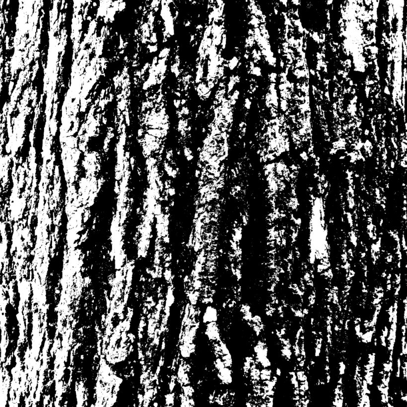 Black And White Tree Branch, PNG, 1024x1024px, Black And White, Bark, Birch, Branch, Monochrome Download Free
