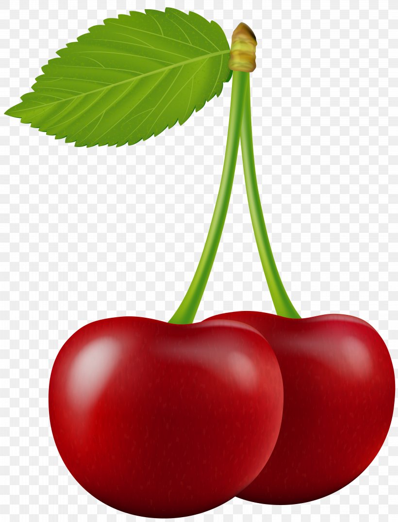 Cherry Fruit Clip Art, PNG, 6092x8000px, Cherry, Blog, Food, Fruit, Local Food Download Free