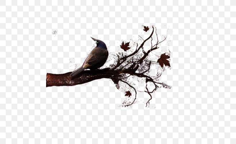 Crow, PNG, 500x500px, Computer Graphics, Animation, Beak, Bird, Branch Download Free