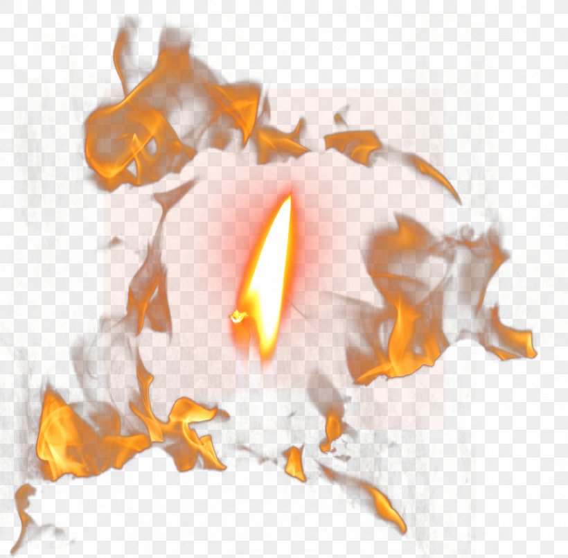 Fire Flame Painting, PNG, 1163x1142px, Fire, Aspect Ratio, Bonfire, Burn, Flame Download Free