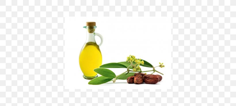 Jojoba Oil Essential Oil Carrier Oil, PNG, 370x370px, Jojoba, Argan Oil, Avocado Oil, Carrier Oil, Castor Oil Download Free