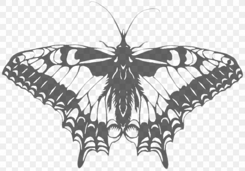 Monarch Butterfly Moth Brush-footed Butterflies Insect, PNG, 860x600px, Monarch Butterfly, Arthropod, Black And White, Brush Footed Butterfly, Brushfooted Butterflies Download Free