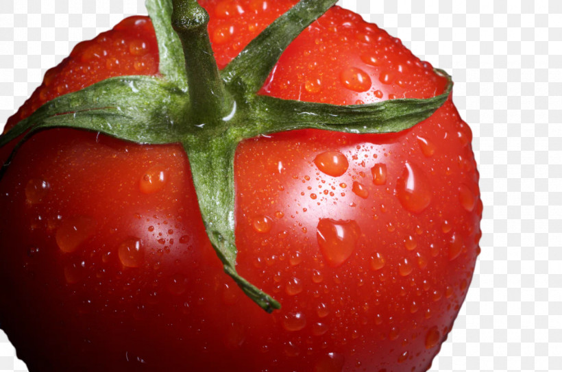 Tomato, PNG, 1200x795px, Tomato, Bell Pepper, Calcium Deficiency, Filtration, Fruit Download Free