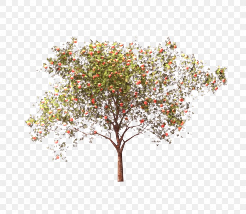 Twig Apple Manzana Verde Tree ArchiCAD, PNG, 1000x871px, Twig, Apple, Archicad, Autodesk Revit, Blossom Download Free