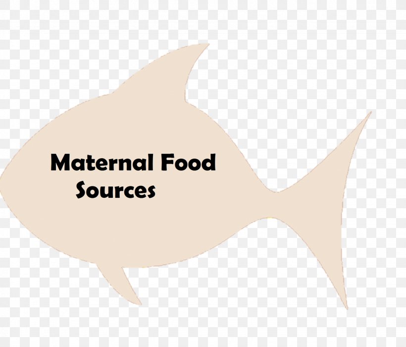 Logo Fish Marine Mammal Brand Font, PNG, 1539x1314px, Logo, Abortion, Brand, Fauna, Fish Download Free