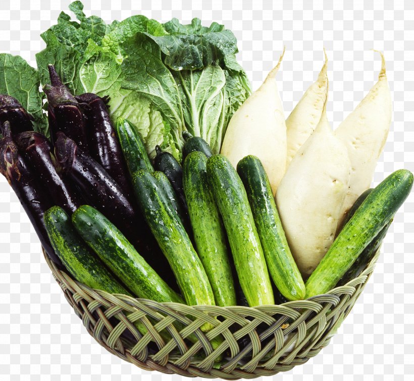Organic Food Fertilizer Auglis Cucumber Sales, PNG, 2180x2003px, Organic Food, Auglis, Banner, Chicken Manure, Cucumber Download Free