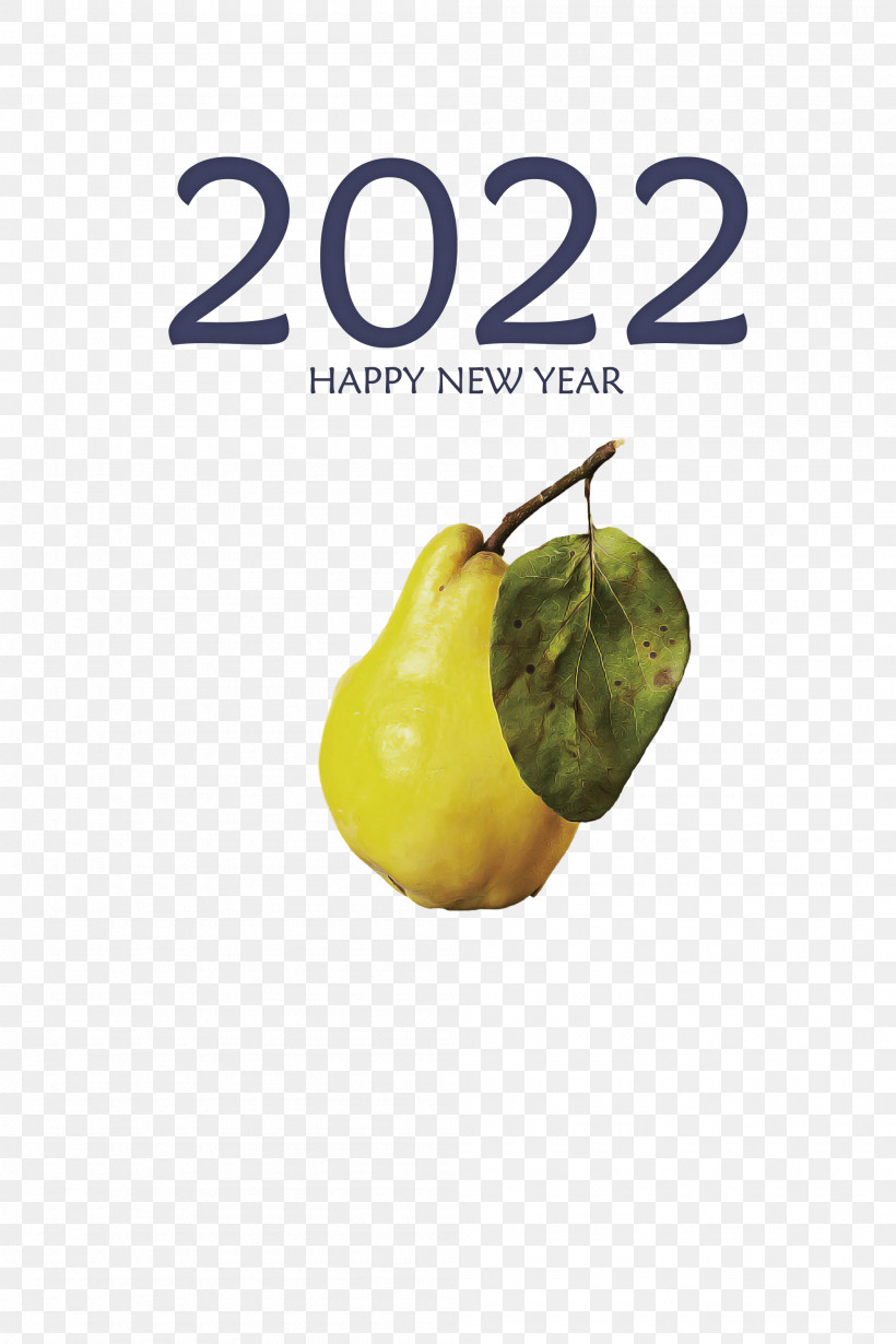 2022 Happy New Year 2022 New Year 2022, PNG, 2000x3000px, Meter, Fruit Download Free