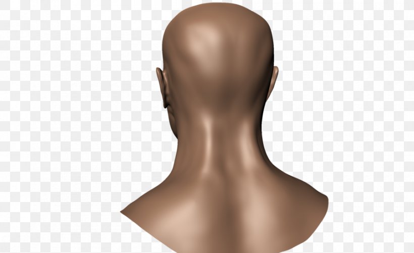 Human Back Human Head Human Body Muscle, PNG, 900x550px, Human Back, Ache, Anatomy, Chin, Head Download Free