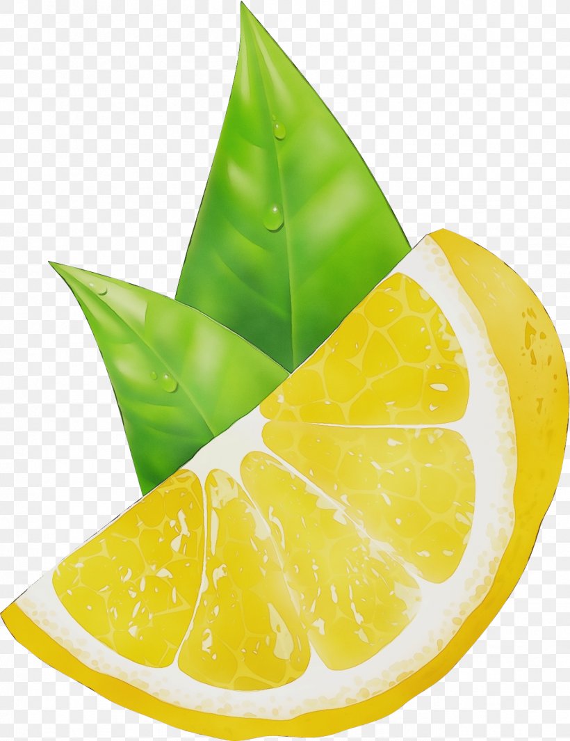 Citrus Lime Key Lime Leaf Yellow, PNG, 1297x1686px, Watercolor, Citrus, Fruit, Key Lime, Leaf Download Free