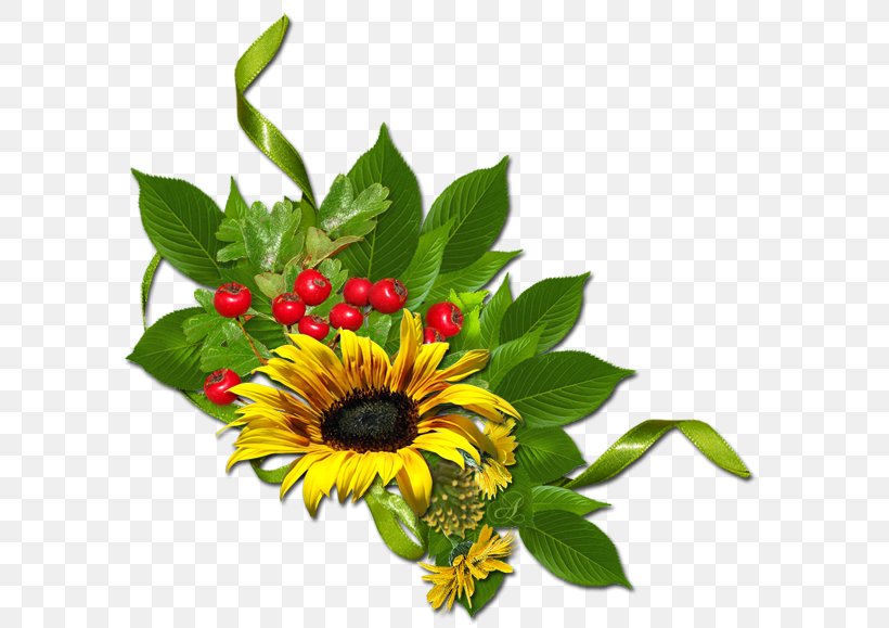 Common Sunflower, PNG, 600x579px, Common Sunflower, Annual Plant, Cut Flowers, Daisy Family, Data Download Free