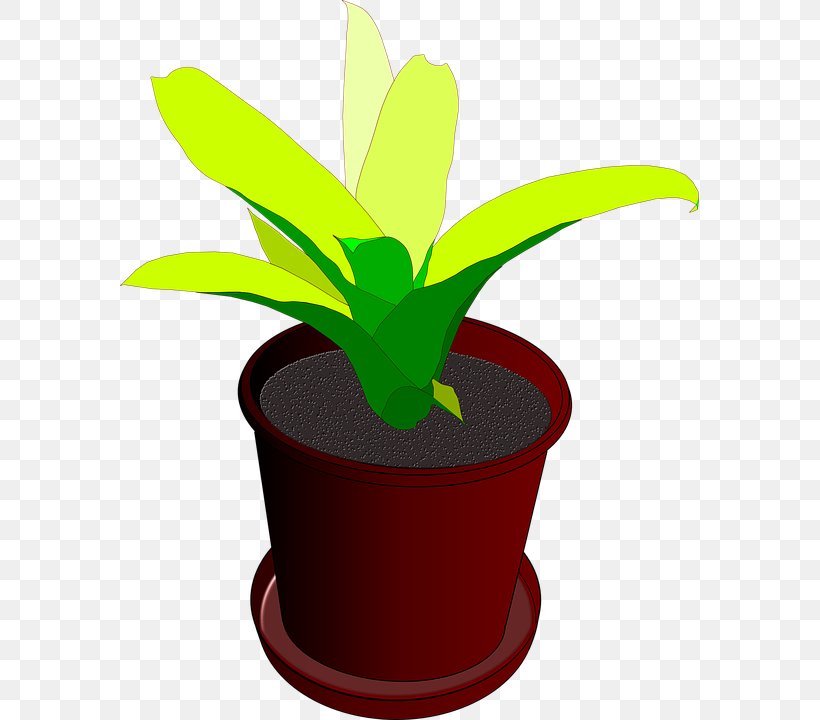 Houseplant Flowerpot Clip Art, PNG, 579x720px, Houseplant, Clay, Flower, Flowering Plant, Flowerpot Download Free